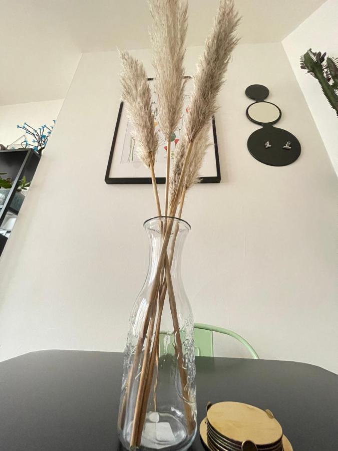 Central Located Two Bedroom Suite 布里斯托 外观 照片